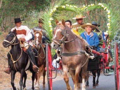 Festividad de Cuasimodo en Cuncumén: una tradición que perdura en el tiempo